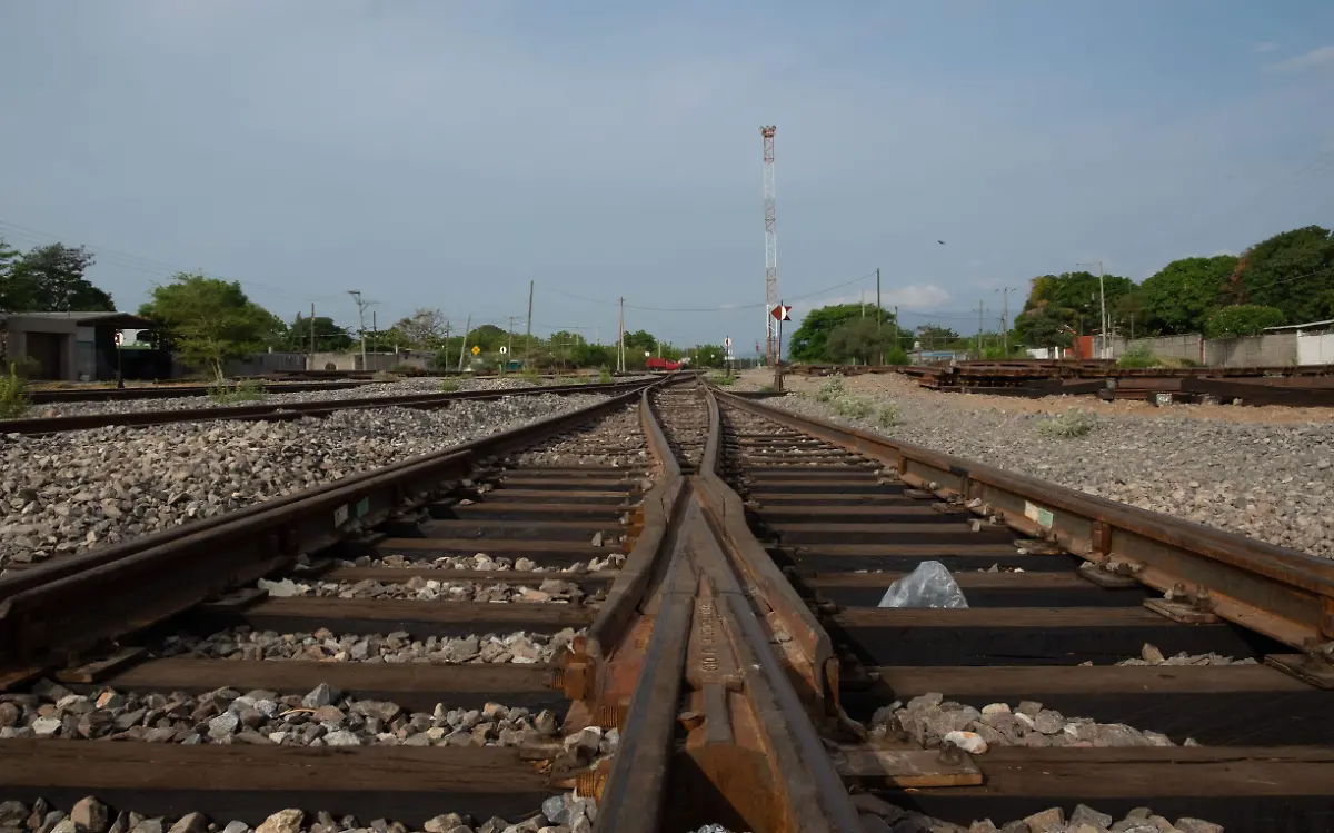 Tren arrolla a una abuelita en Tampico 